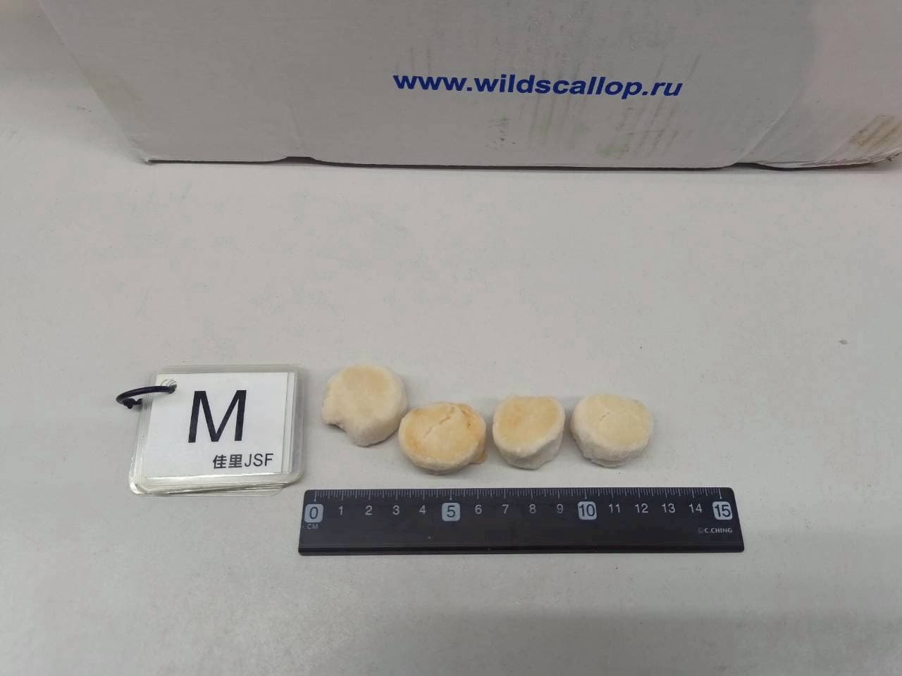 蘇聯帶子 商品照片 2